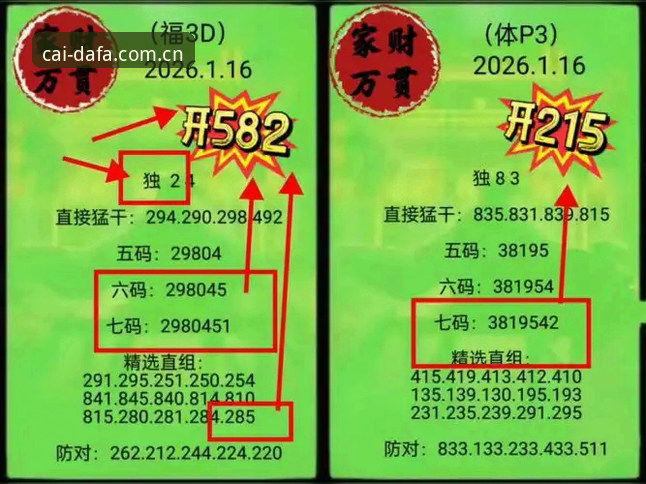 大发热门平台：彩票号码预测实战操作详解